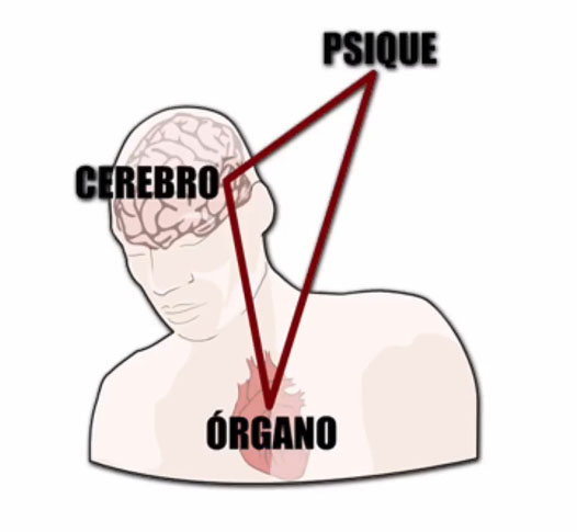 5 leyes 5 leyes