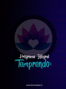 Programa Temprendo